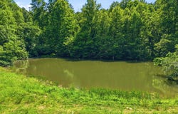 JORDAN HOLLOW RD, STANLEY, VA 22851