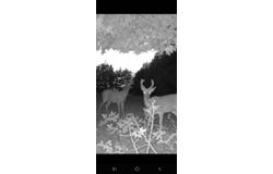 Long Hollow Acres lot: 11-14, Burkesville, KY 42717