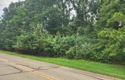 HAYES Rd, Arlington, TN 38002