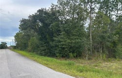 NE 150TH Avenue, WILLISTON, FL 32696