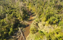 Comanche Road, Ragley, LA 70657
