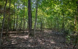 Riverbend Road lot: 13&14, Mammoth Spring, AR 72554
