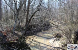 Hart Cemetery RD, CEDAR GROVE, TN 38321