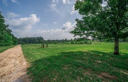 3460 Hawk Road, Diana, TX 75640