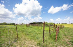 Dewdrop Road, Blue Eye, MO 65611
