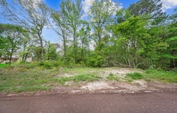 PID 96952 MEMORY LANE, Diboll, TX 75941