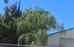 360 W 5th, San Jacinto, CA 92583