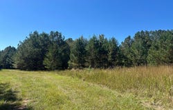 221ac Skyline Road, Meridian, MS 39301