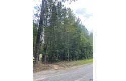 TBD DIXIE WINDS DR, Bremo Bluff, VA 23022