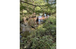 Pea Ridge Connector Rd, Pace, FL 32571