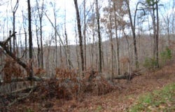 Tomahawk Rd lot: 75, Jamestown, TN 38556