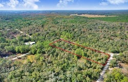 SONIA Avenue, WEBSTER, FL 33597