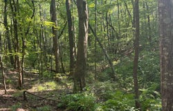 Clark Lane, Buchanan, TN 38222