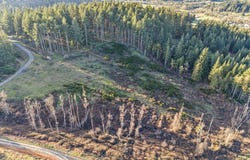 1 Halderman Rd, CottageGrove, OR 97424
