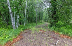 Riverside Dr, Brainerd, MN 56401