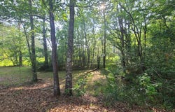 Thompson Lane, Carriere, MS 39426