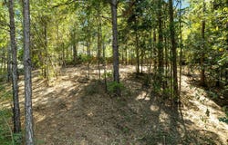 14 Rabbit Trail, Hattiesburg, MS 39402
