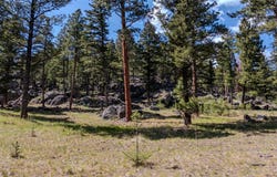 18 Eagle View Drive, Clancy, MT 59634