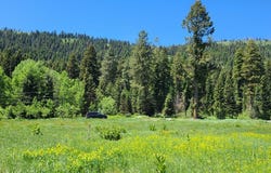 1608 Bear Trail Loop LOT 3A-13, Cascade, ID 83611