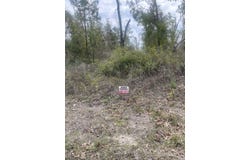 E Royal Oak Drive, Keaton Beach, FL 32348