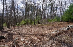 Roosie Road lot: #4, Dingmans Ferry, PA 18328