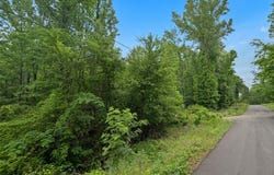7253 Mountain View Lane, Leeds, AL 35094