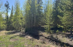 44 Wilderness Rd, Walden, CO 80480