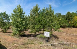16 Berkeley Drive, Clarksville, VA 23927