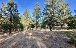 Martinez Gulch, Clancy, MT 59634