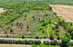 7015 E Harrison Road, Walkerville, MI 49459