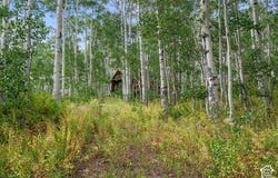 5485 N PINECONE Rd, Midway, UT 84049