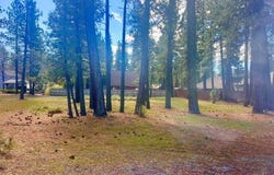 244 Watson Road, Chester, CA 96020