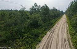 1 Ed Harrell Road, Hortense, GA 31543