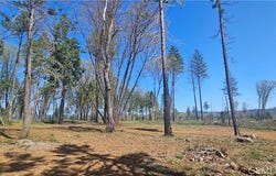 0 Skyway, Magalia, CA 95954