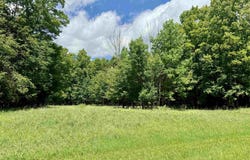 V/L Farrier Road, Hillman, MI 49746