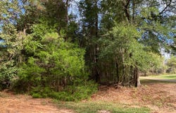 Circle Drive, Monroeville, AL 36460