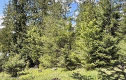 NNA Lot 4 Silver Reef Rd, Sagle, ID 83860
