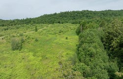Birch Tree Lane lot: 2, Cambridge, VT 05464