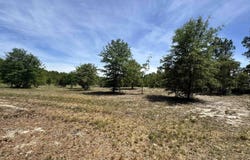 1345 Cheraw Rd, Cassatt, SC 29032