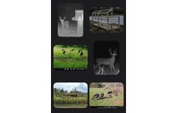 230 Pineywoods Rd, Macon, MS 39341