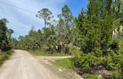 Yates Creek Road, Perry, FL 32348