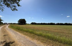 7031 Golinda Drive, Lorena, TX 76655