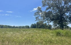 2380 WATKINS Dr, Williston, TN 38076