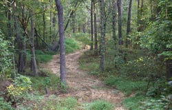1026 WITHERSPOON Rd, Michigan City, MS 38647