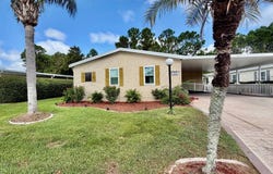 255 BLUE HERRON, Ormond Beach, FL 32174