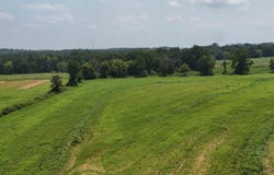 1780 COUNTY ROAD 42, STEELE, AL 35987