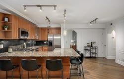 433 W Briar Place, Chicago, IL 60657