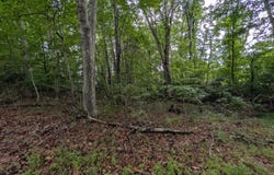 SE Circle Drive, Wise, VA 24293