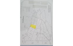 Riverton Rose Tl, Cherokee, AL 35616