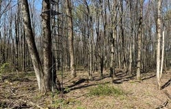CHAFFEE, Liberty, NY 12754